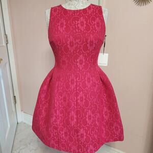 NWT  Flawless Hot pink lace Calvin Klein dress love  feels  looks high end 6 E37